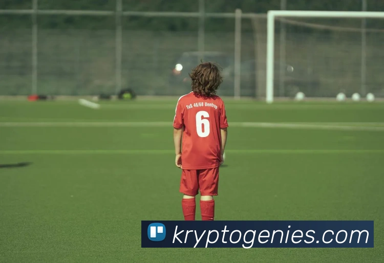 mksports网站平台生态图