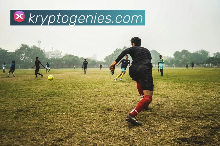 mksports网站平台生态图